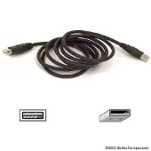 Belkin USB Extension Cable, 6 ft., 1,8 m, 0,48 Gbit/s