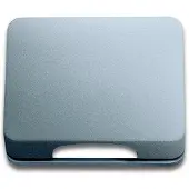 ABB Busch-Jaeger Titan-Abdeckplatte 50x50mm 1746-266-101 - 2CKA001710A3339