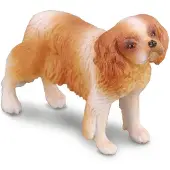 Collecta Pies rasy Spaniel Cavalier King Charles