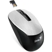 Genius NX-7015, Beidhändig, BlueEye, RF Wireless, 1600 DPI, Schwarz, Silber