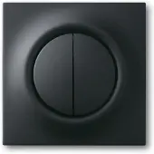 Busch-Jaeger 4011395127711, Schwarz, Kunststoff, konventionell, , Matte, 1 Stück(e)