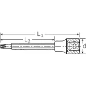 Stahlwille 1054TX Schraubendrehereinsätze, 1/2", T60