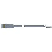Turck Escha Ronde (Industrie) Stecker - 6625014