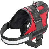 Flamingo Xtreme Teflon Hundegeschirr