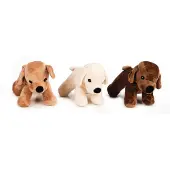 Beeztees Plush Dog Asco Hundespielzeug Sortiert