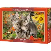 Castorland Kitten Buddies 1500 pcs, 1500 Stück(e), Tiere, 9 Jahr(e)
