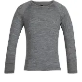 Icebreaker 200 Oasis Crew Merino Langarm-t-shirt