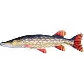 Paladin Stofffisch Hecht Länge 110cm