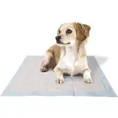 Ferplast Genico Basic Windeln 60x60 Cm 50 Einheiten