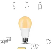TINT Müller Licht dimming LED-Lampe E27, 9W 2.700K