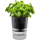 GEFU Herb Maurerkübel