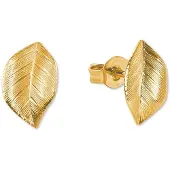 Amor Paar Ohrstecker "Blätter", gold (gelbgoldfarben), Ohrringe, Damen, Gelbgold 375, Paar Ohrstecker, Made in Germany