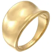 Elli Siegelring "Ring Basic Schick Oval 925 Silber" Gr. 56, gold, Fingerringe, Damen, 56, ohne Stein, Silber 925 (Sterlingsilber), Siegelring