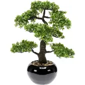 Botanic-Haus Kunstbonsai "Ficus Bonsai"