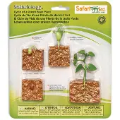 Safari Ltd Lebenszyklus Einer Grünen Bohnenpflanze Abbildung Mehrfarbig From 3 Years Kinder Mehrfarbig From 3 Years