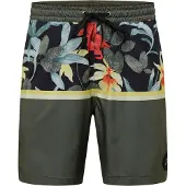 Quiksilver Division 17 Nb Badeshorts