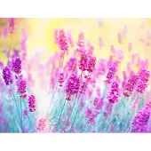 Papermoon Vlies- Fototapete Digitaldruck 350 x 260 cm Lavender Flower GLO769559140