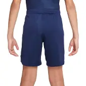 Nike Shorts DM2226-410 für Jungen