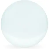 Kamera Express Objektivkugel (Objektivkugel), 100mm