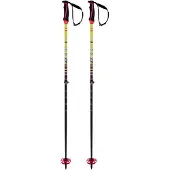 Völkl Phantastick FR Poles (adjustable) neutral