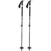 BCA Scepter Carbon Stöcke