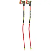 LEKI Herren Alpin-Skistock WCR GS 3D