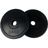 Tunturi Rubber 2.5kg Hantelscheibe 2 Einheiten