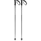 Völkl Phantastick III Poles black 135
