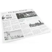 Sier Sandwich-Beutel News Paper 30 cm x 30 cm