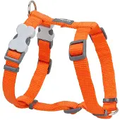 Red Dingo Smooth Hundegeschirr