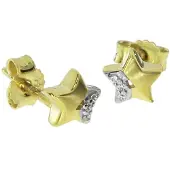 Ostsee-Schmuck Ohrstecker - Stern - Gold 333/000 - Zirkonia Gold