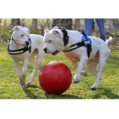 Jolly Push-n-Play - Blau - 25 cm