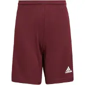 Adidas Squadra 21 Kurze Hose