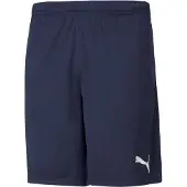 Puma Teamrise Training Kurze Hose