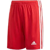 Adidas Hosen JR Squadra 21, GN5761, Größe: 111
