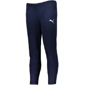 Puma Teamrise Poly Trainingshose
