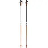 Fischer Gt 13 Comp Mag Stöcke