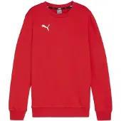 Puma teamGOAL Casuals Sweatshirt Kids Rpt F01 || Größe 128