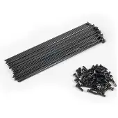 Eclat Pg Speichen Und Nippel Kit 40 Einheiten