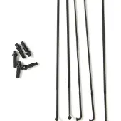 Massi X-tech Speiche 5 Einheiten