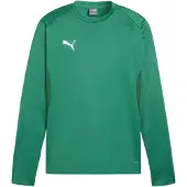 Puma Teamgoal Trainingssweat Herren - Grün