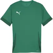 Puma Teamgoal Matchday Trikot Kurzarm Herren - Grün