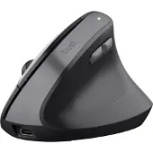 Trust TM-270, Rechts, Vertikale Ausführung, Optisch, RF Wireless, 2400 DPI, Schwarz