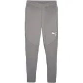 Puma Team Final Trainingshose Herren - Grau