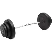vidaXL Curlstange mit Gewichten 60 kg