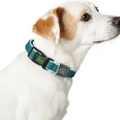 Hunter Pet Hilo Vario Basic M-l Hundehalsband