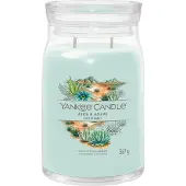 Yankee candle Duftkerze Signature Glas groß Aloe & Agave 0,567 kg
