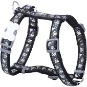 Red Dingo Gurtzeug RD 12 mm x 30-44 cm - Diamantschwarz