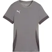 Puma Teamgoal Trikot Kurzarm Damen - Grau