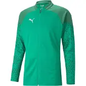 Puma Team Cup Trainingsjacke Herren - Grün
